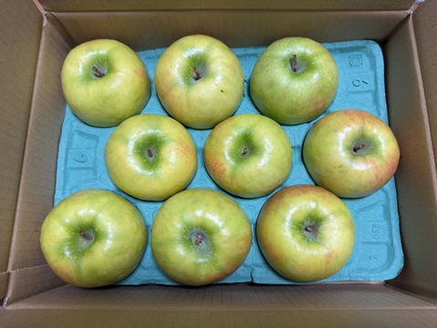 爽やかな酸味りんご　グラニースミス　アップルパイにどうぞ　7個から12個