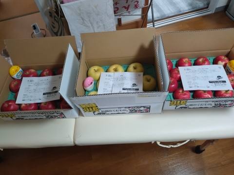 残り8ケース【フルティーサマーアップル】トキ 3キロ箱 6玉〜15玉サイズ商品ID09523 長野県 信州 安曇野 リンゴ 幻 幻のリンゴ 予約 希少 旬