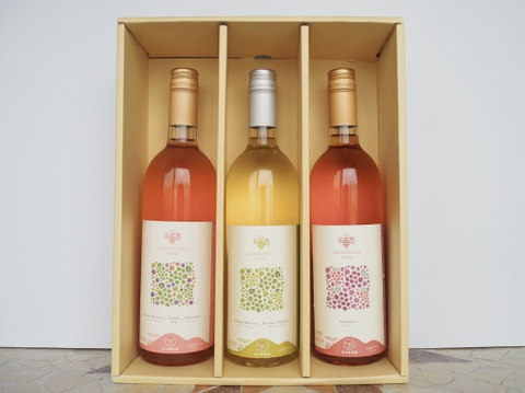 【贈り物や特別な日に】漆山果樹園ワイン750ml×3本セット