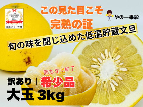 【完熟の証】低温貯蔵 土佐文旦 訳あり大玉3kg｜風味が際立つ食べ頃・日本ギフト大賞受賞・文旦発祥の地 ・高知県土佐市産 ・やの一果彩