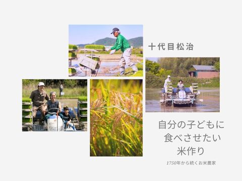 【冬ギフト】新米【無洗米10kgx2袋】特別栽培米！1750年から続くお米農家が作ったきぬすめ『縁起の竜王米』　滋賀県竜王町産 お米
