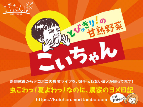 【大好評！】とびっきりの甘みとうまみ！濃厚なにんじん「こいちゃん」（訳あり！加工用約20kg）