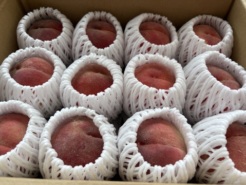 ご家庭用 桃 あかつき 小玉 約2kg 数量限定：長野県産のあかつき｜食べ