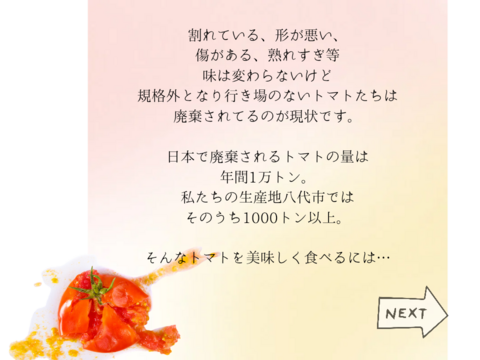 お母さんスタッフいちおし!!熊本県八代産訳ありトマト『おっぺしゃん』４kg