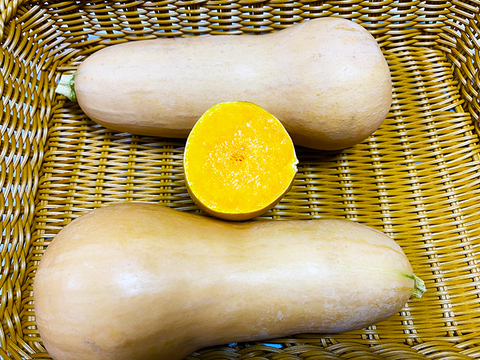 【訳あり】柔らかく、切りやすい！バターナッツかぼちゃ（3kg、約2〜4個)農薬・化学肥料不使用