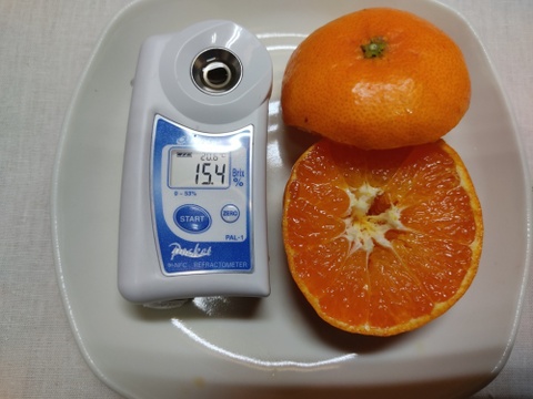 2箱のみ　お弁当のお供に　つぶらな甘平　４キロ