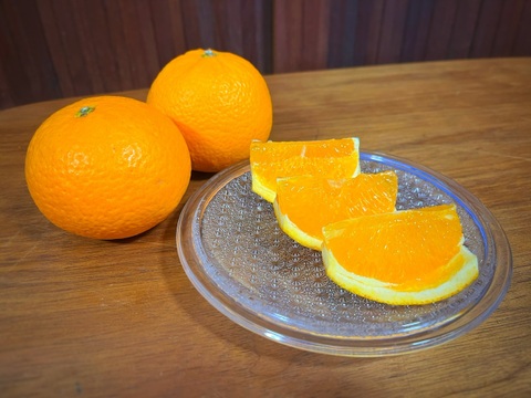 果汁たっぷり香り豊か！オーガニック清見オレンジ 5kg約20玉 (和歌山県産有機栽培フルーツ)