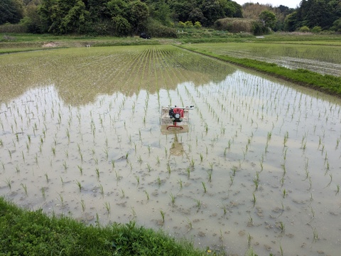 【令和６年新米】　農薬・化学肥料不使用コシヒカリ【三重県産精米２７kg】
食味分析計で８５点の自信作コシヒカリ（冷めても美味しい！！）