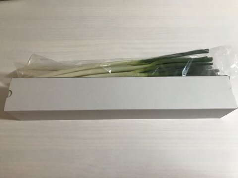 群馬県産長ネギ10本！取れたて！甘くて美味しい！