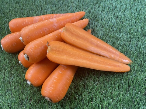 甘～い香り！生で美味しい！美潤にんじん🥕箱込み5ｋｇ