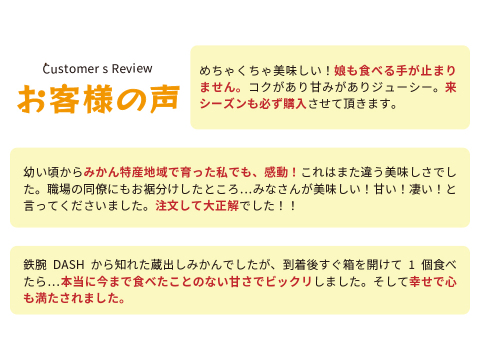 蔵出しみかん中生5kg｜和歌山県海南市下津町の特産品、蔵出しみかんの希少な中生品種