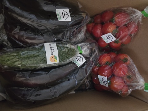 たまきちさんリクエスト専用サイト

訳ありふわトロ長ナス１Ｋｇ
フルーツトマト１Ｋｇ