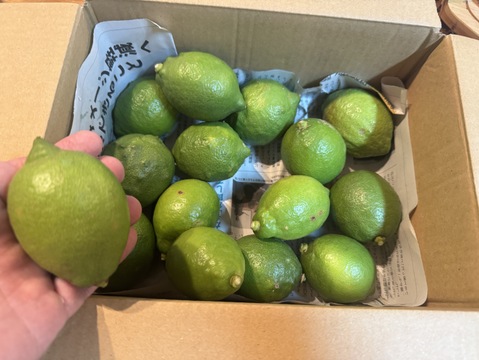 防腐剤、ワックス不使用　皮ごと使用激安広島県産レモン 訳あり三級品 2ｋg(20～23個入)即日発送可能