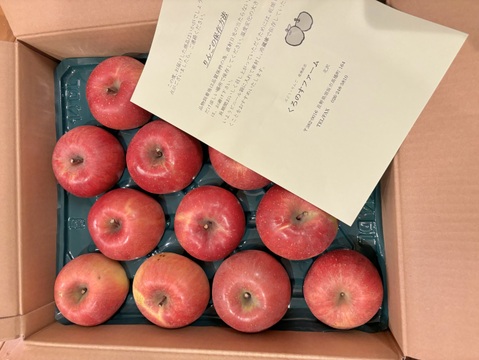 ジューシーな須坂産家庭用サンふじリンゴ（約5キロ）