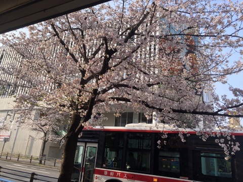 【新規のみ】4周年&祝🎊合格記念