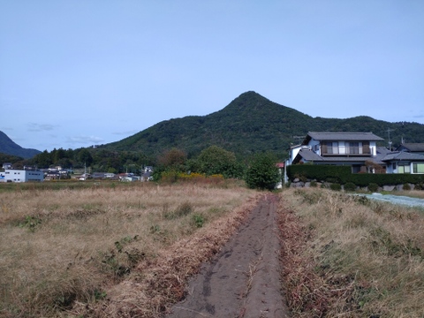 元イタリアンシェフが育てる紅はるか10kg栽培期間中、農薬、化学肥料不使用【冬ギフト】