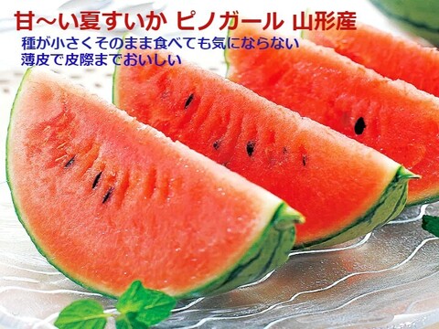 甘～い尾花沢小玉すいか ピノガール・紅小玉各2玉 山形県産 10~12kg【 予約販売】