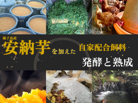 【定期購入専用】
☆＊【安納芋の甘みがギュッ‼️】＊☆
っと詰まった夢まる自然卵(10個入り3箱)