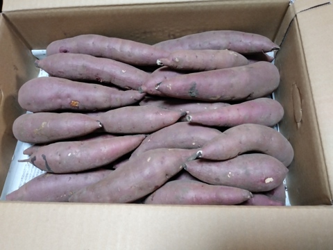 【訳アリ！5kg弱×1箱】ねっとり濃厚、密たっぷり熟成さつまいも🍠「べにはるか」（2S/S/Mサイズ混合お任せセット）