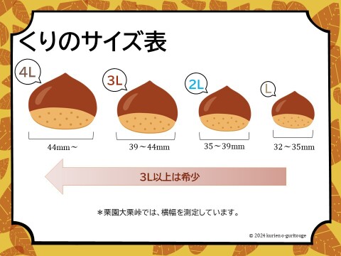 丹波栗　「丹沢」「銀寄」 食べ比べセット　希少4Lサイズ 合計約1kg（本州のみ）