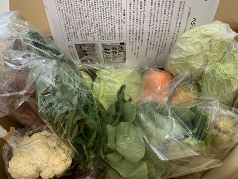 【7周年福袋】3000円福袋　温まる冬野菜でミネラル補充☆おまけ付きカラフル野菜セット