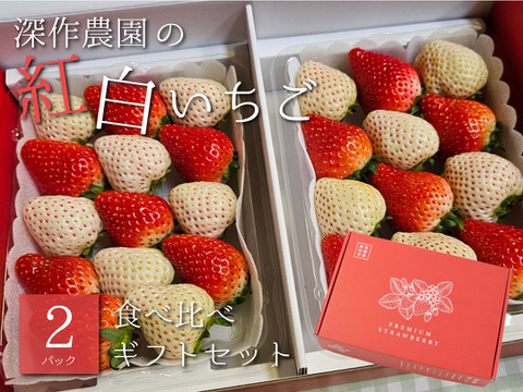 日本農業賞大賞受賞！6代100年続くいちご農家が作る、紅白いちご（苺・イチゴ）2パック【深草農園】ギフトにもピッタリ