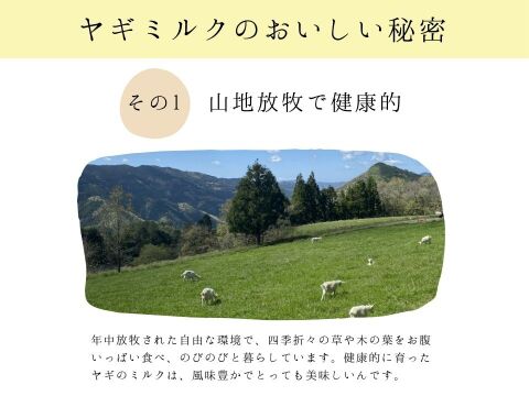 やさしい甘さの「ヤギミルクヨーグルト」加糖タイプ 150g×9本