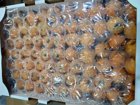 【加工用】露地びわ×2ケース『最終受付です！』