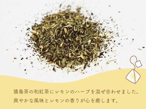 SASHIMA LEMON TEA／2g×10　ティーバッグ 【リラックスタイムにいかがですか？】お茶　紅茶　レモンティー メール便