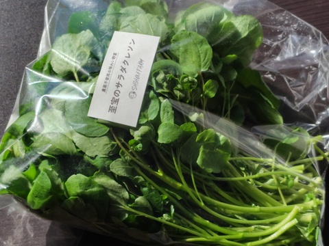 【農薬不使用】極上サラダクレソン（200g）最強スーパーフード / 茎までやわらか