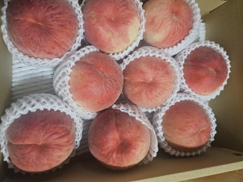 固い桃 おどろき 福島県伊達市産 3kg(9～11玉)