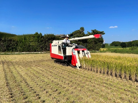 【令和7年産 新米】こしひかり白米10㎏