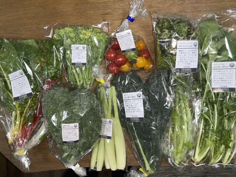 月・金曜発送便】ココロ躍る🌈おまかせ野菜セット【さいたま市産