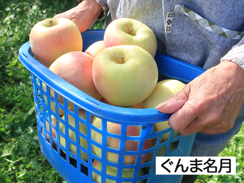 希少 りんご 2~3種 詰め合わせ 3kg(8〜12玉)セット 家庭用 訳あり【 ぐんま名月/こうとく/ひろのかおり/あまみつき/小町ふじ/黒千寿】