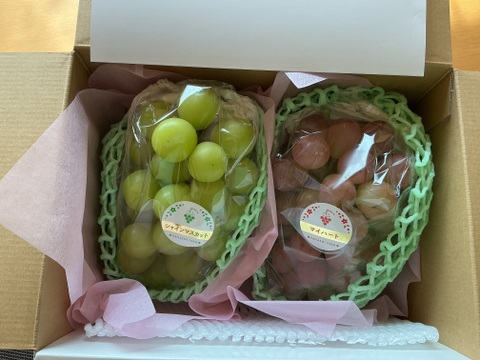 花笑み農園　岡山の10月おすすめブドウ2種1kg【10/1～順次発送】2M-1L