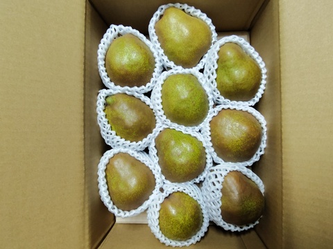 高貴な香り山形ラ・フランス【３Kg】