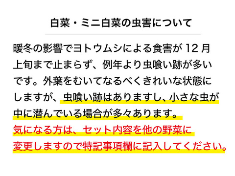 冬野菜Lセット9品目前後（農薬・化学肥料不使用）