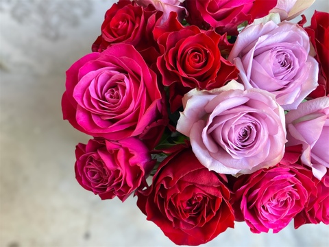 【赤パープル系15本】2月限定☆厳選バラ☆贈り物にもおすすめ（ご自宅用簡易包装/50cm）