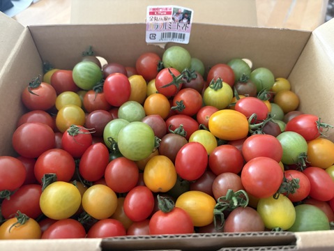 その日に採れた分だけその日に発送！！2㎏入り