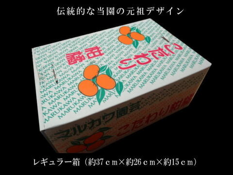 【みんなで食べ比べ】甘～い３種のみかんが同時に楽しめる！家族でワイワイ楽しい食べ比べ！定番の完熟みかんから希少品種も入った「こだわりのおみかん玉手箱」ご家庭用お試し品５kｇ入【商品番号1001-5k】