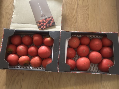 【北海道産】🍅樹上熟3段採り🍅桃太郎トマト4kg（2kg箱× 2） 〈訳あり品〉