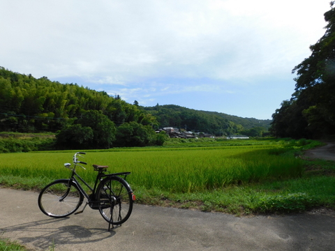 大人気！令和７年産　自然栽培　古代米ブレンド（大容量４５０ｇ入り×３袋)