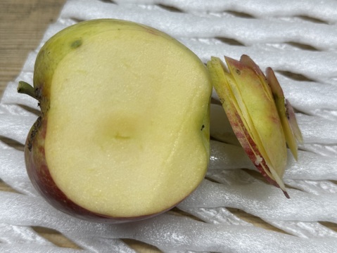 【ご予約／天候被害果】希少価値の高い夏りんご【シナノリップ　訳あり】５㎏
R-w5