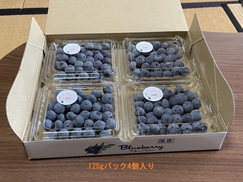 今シーズン最後の販売！【有機JAS認証】信州安曇野の大地の力で育ったオーガニックブルーベリー（500g)【生食用】