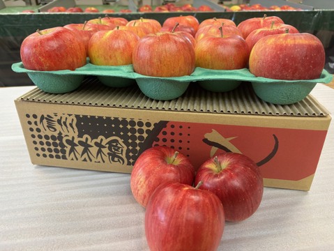 おやつ感覚で！？そのままぱくっと！甘くてジューシー！長野県シナノスイート小玉4.8㎏