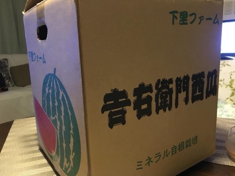 追加投稿！残り15玉！即終了！2025年150玉限定の自根栽培の激レアスイカ！シャリ！とした食感と水々しさ、汗と涙のロマンが詰まった希少価値のある金時の大玉スイカ（8kg）