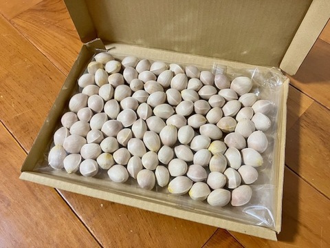 秋ですね♪もっちり大粒銀杏”久寿✨”2Lサイズ　350g