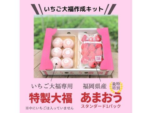 【福袋】【冬ギフト】あまおういちごスタンダード270g×2パック＆あまおう大福セット