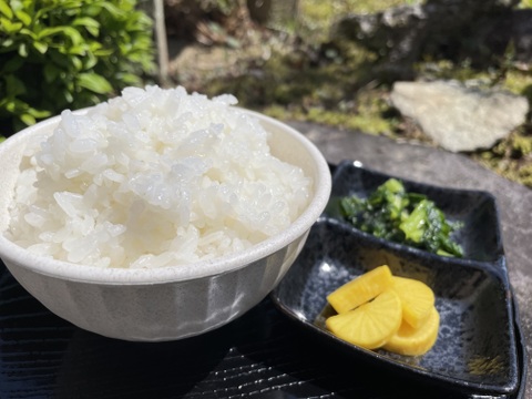 【令和6年新米】 🌾玄米5kg 兵庫県丹波産コシヒカリ甘い！冷めてもおいしいごはん🍚