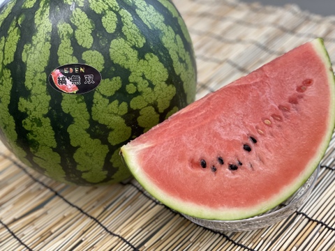 夏ギフト!山形産甘い大玉すいか1個入り【2L-3Lサイズ・約7~8kg】